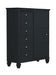 Sandy Beach Black Door Dresser With Concealed Storage image